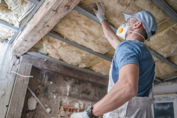 Best Commercial Insulation in East St Louis, IL