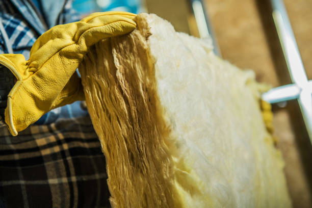 Best Insulation Maintenance and Repair in East St Louis, IL