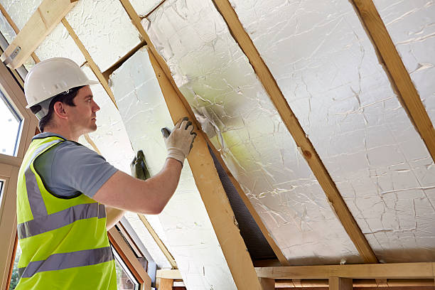 Best Insulation Maintenance and Repair in East St Louis, IL