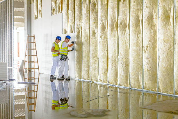 Best Types of Insulation in East St Louis, IL